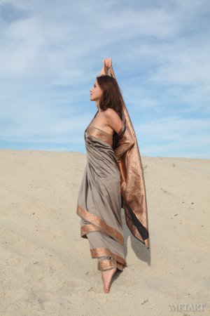 Firebird A – Naked chick in desert. photo 1