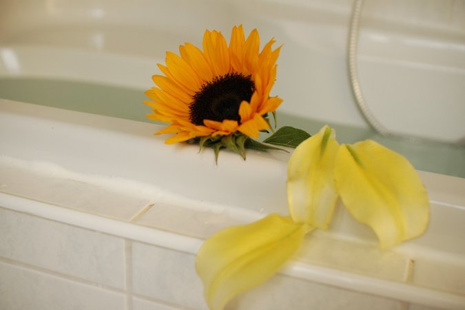 Selene B – Hot babe plays with sunflower photo 1