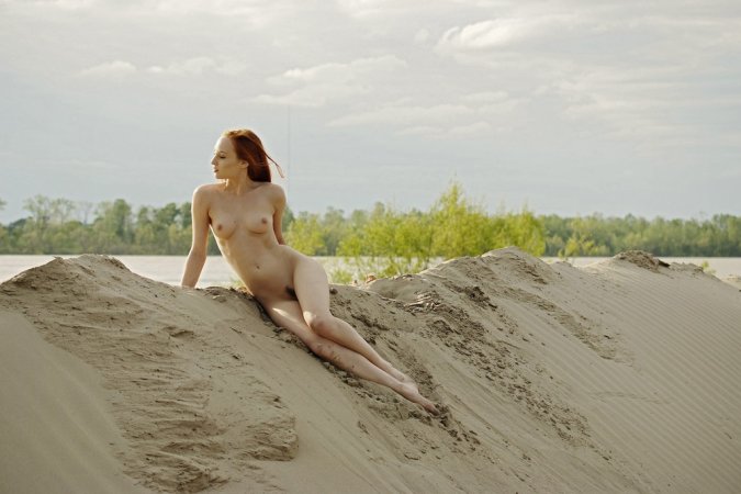 Sally A – Ginger on the beach photo 11