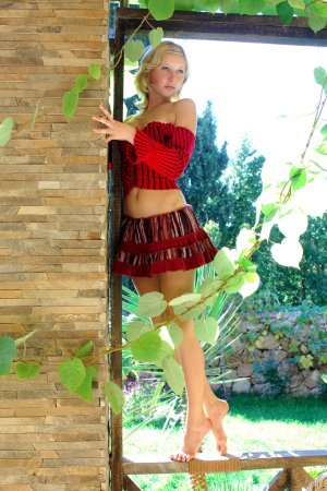 Miranda A – Blondie shows pussy under skirt photo 13
