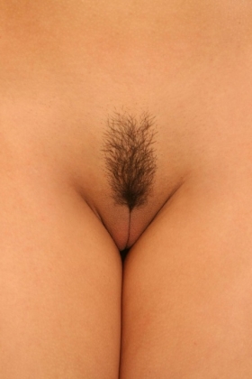 click to see large photo