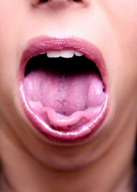 click to see large photo