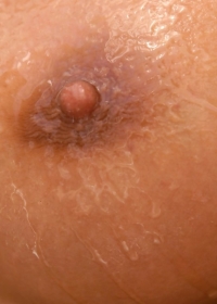 click to see large photo