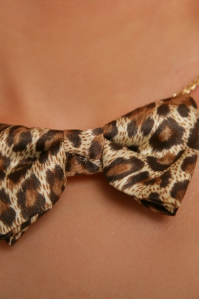 click to see large photo