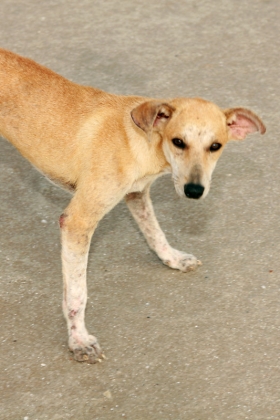 click to see large photo