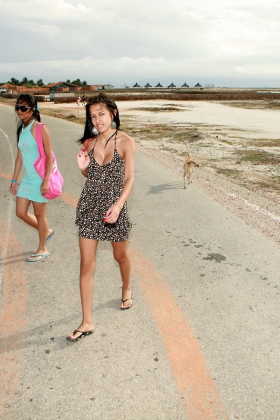 click to see large photo