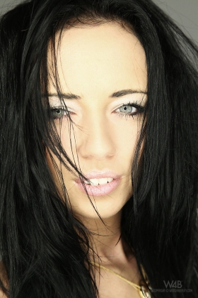 click to see large photo