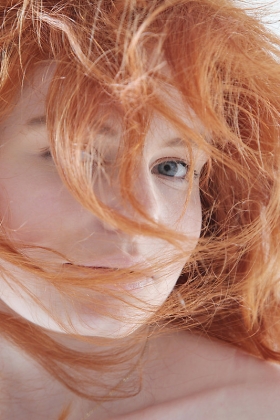 click to see large photo