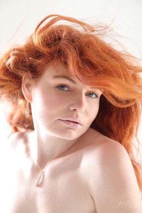 click to see large photo