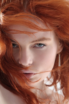 click to see large photo