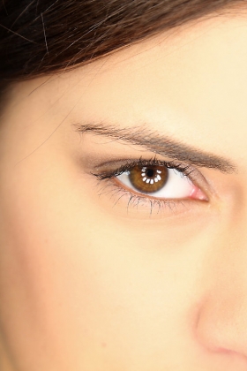 click to see large photo