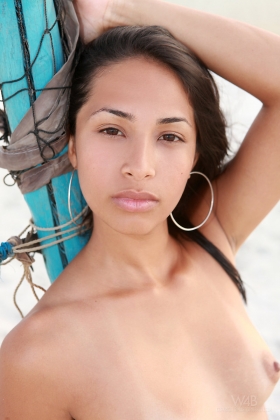 click to see large photo